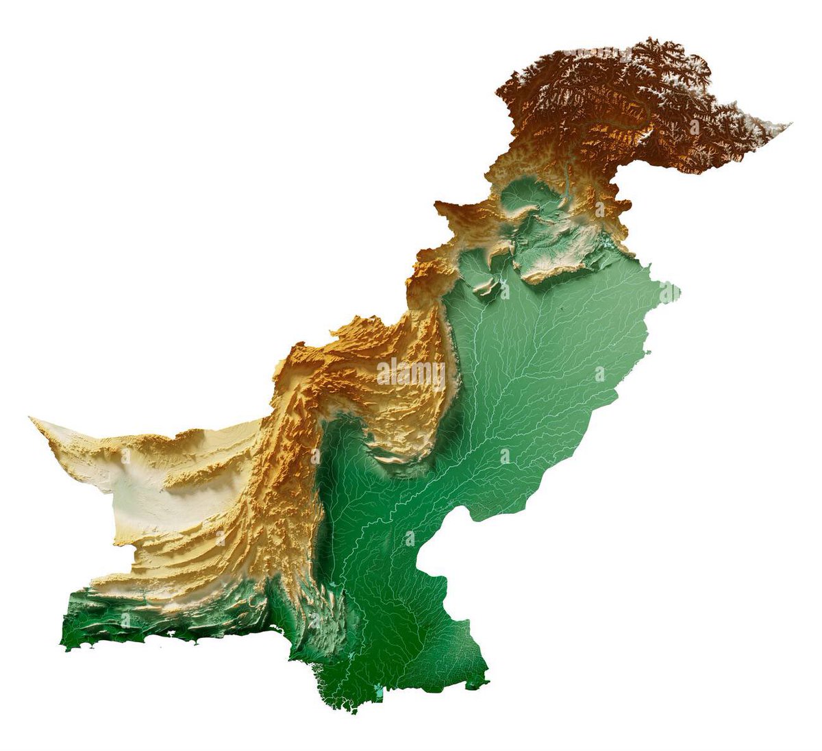 Hamza🗽🌐🏙️💹 tweet media