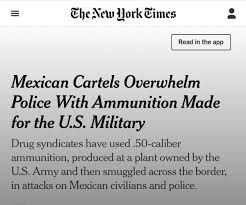 pinto zavala tweet media