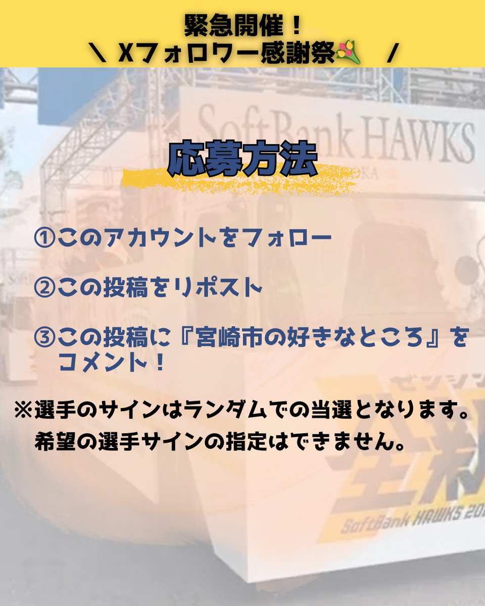 【公式】宮崎市観光協会 tweet media