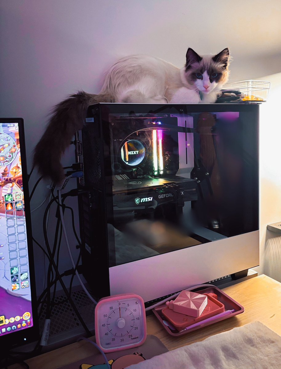 Kira 🌸 tweet media