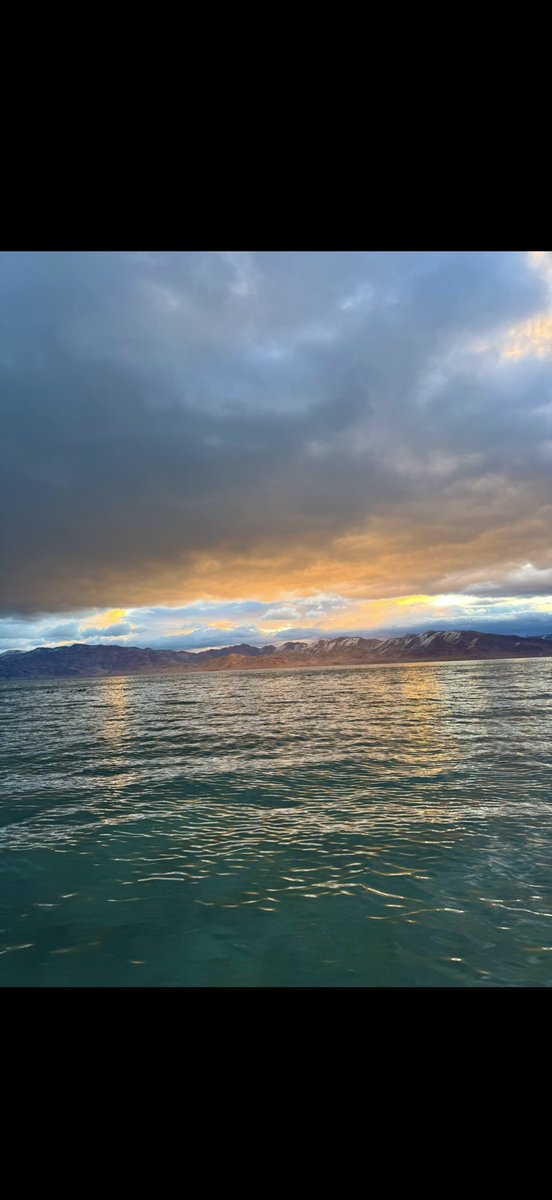 Ryder Meyer tweet media