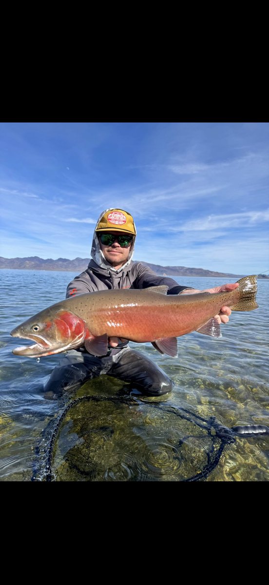 Ryder Meyer tweet media