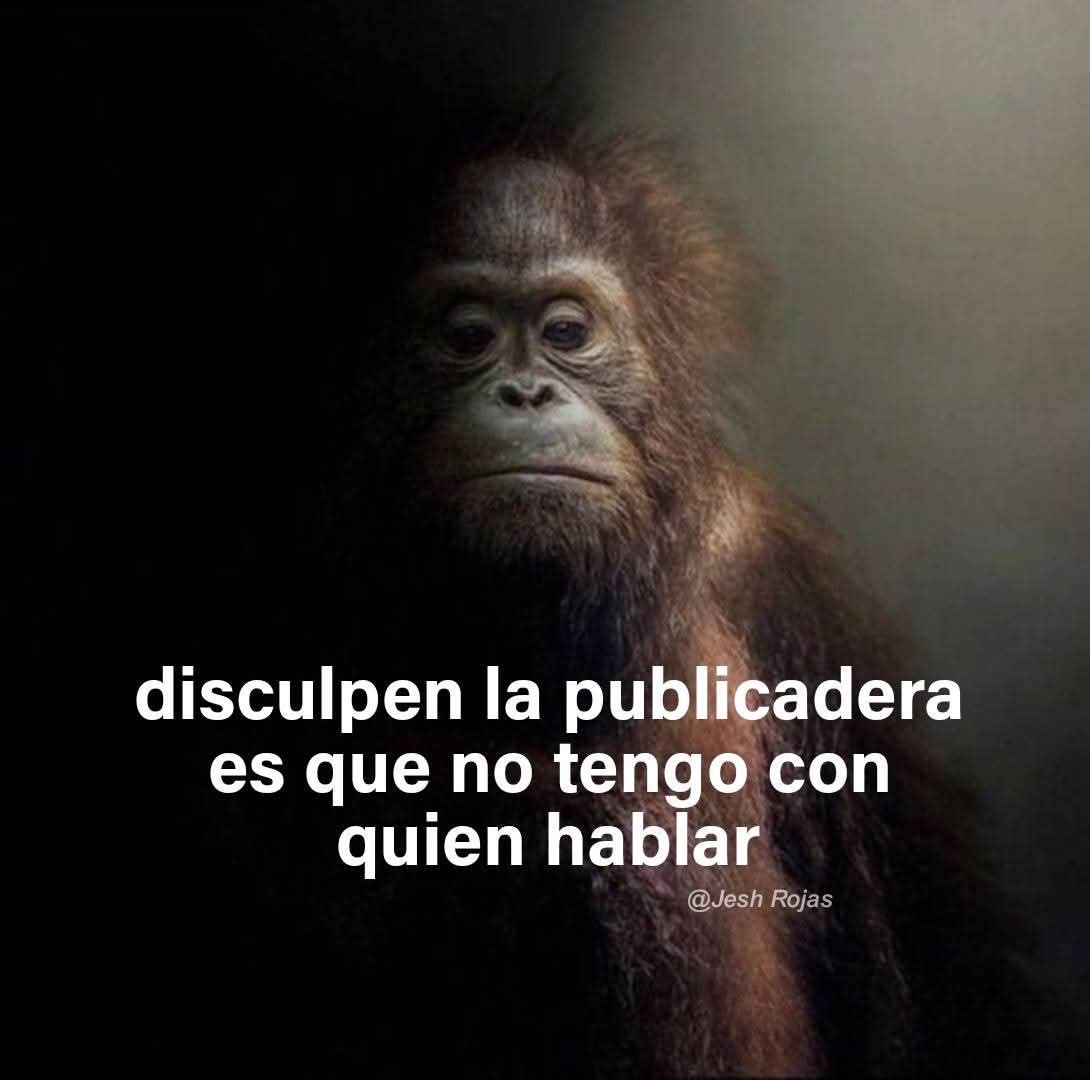 Jeon lvs Along (@ohthisisjeon) on Twitter photo 