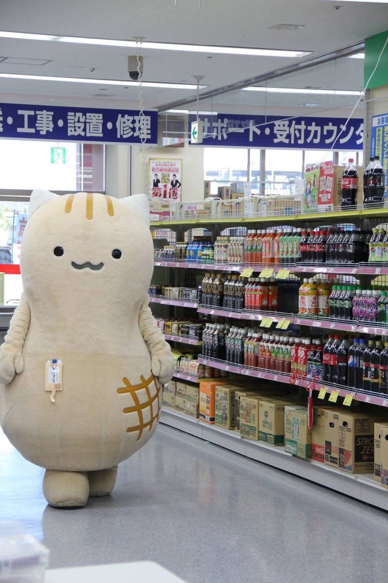 Post by みら on X: にゃっつさん。