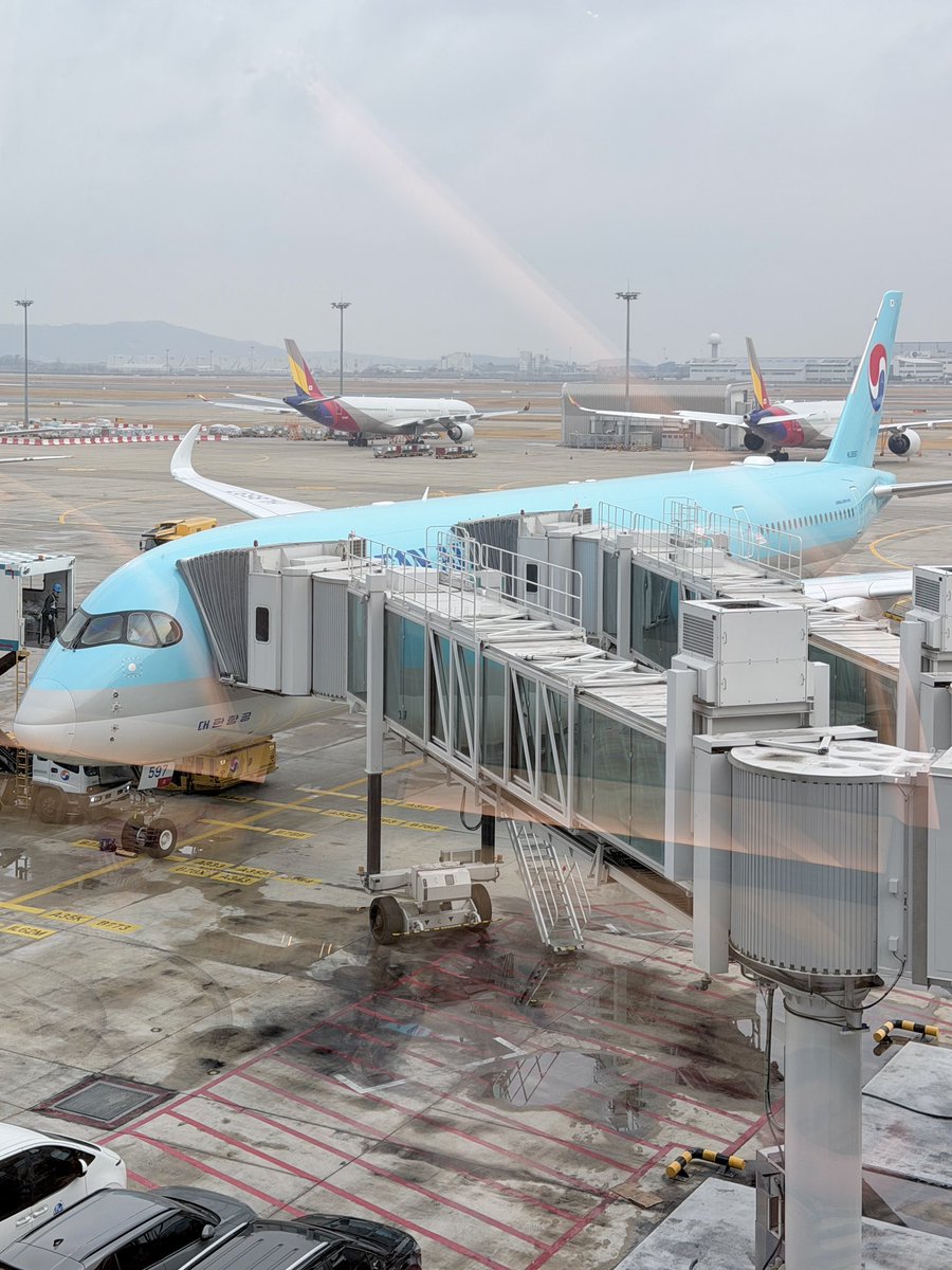 CD채윤 tweet media