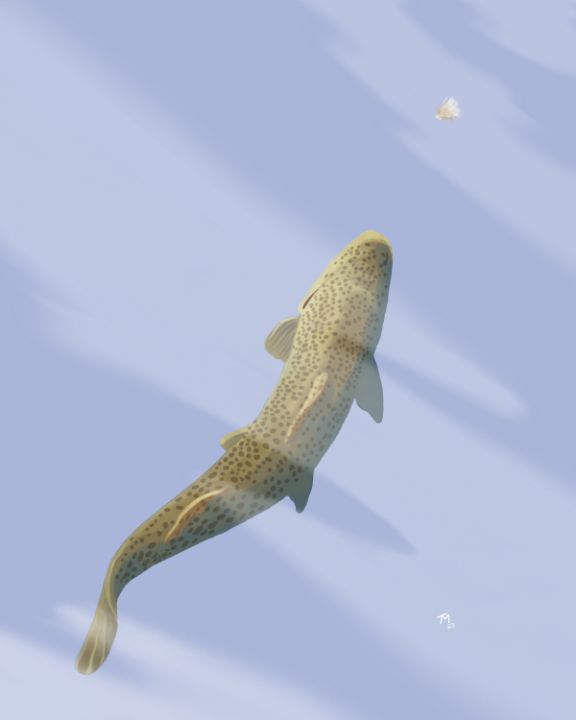 Tony McCall tweet media