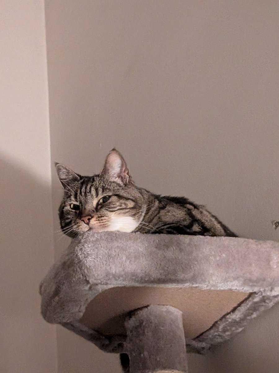 Freefall '95 tweet media