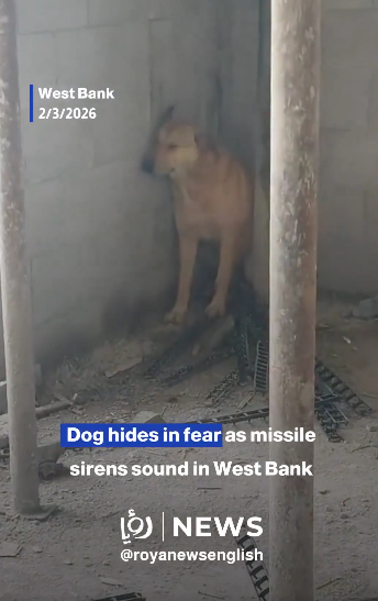themastarata's tweet photo. @jncatron Even more including #Oboma ty @cjwerleman 'Ten Egregious Israeli Snubs of the #Obama Administration - https://t.co/2dW1E3jJZO &amp; still doesn't feel safe 2 go out #WestBank ty @RoyaNewsEnglish #Satanyahu #Trump2 #VetoJoe https://t.co/refGSv4UzV