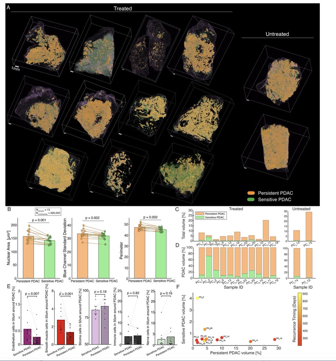 Denis Wirtz tweet media