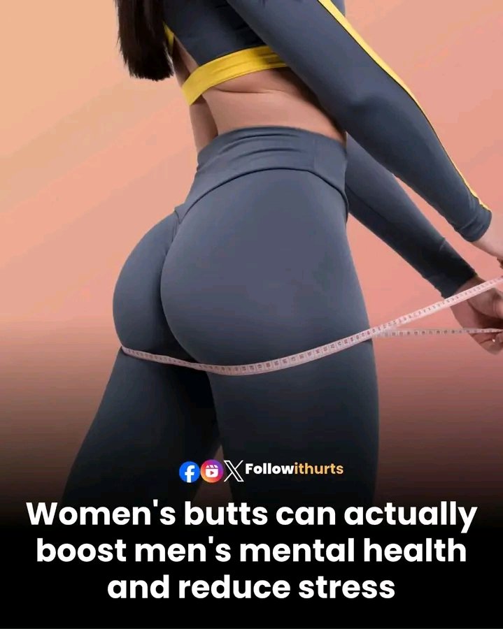 ๐๐ข๐ฒ๐ ๐ชพ tweet media