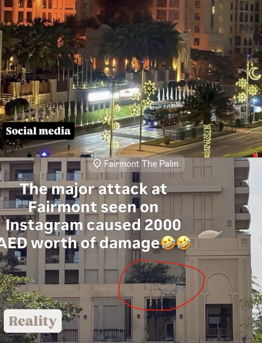 Alpha🐺 tweet media