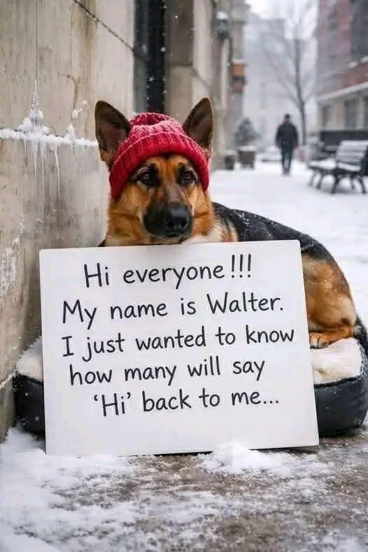 Sarah ❤️ tweet media