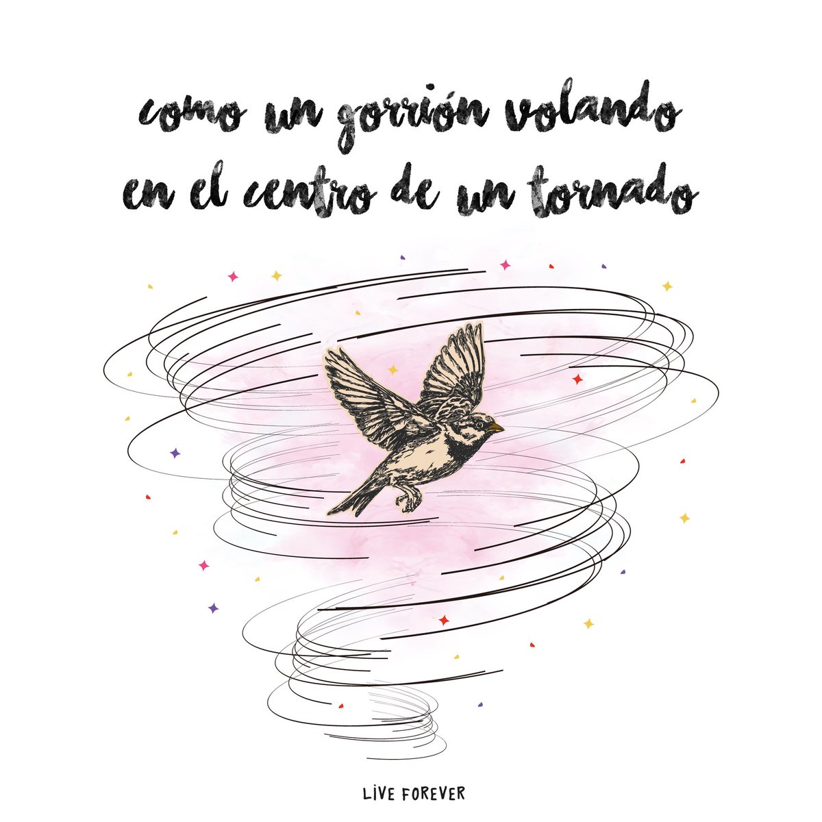 Y solo quiero un momento de paz ❤️
<a href="/amaraloficial/">Amaral</a>