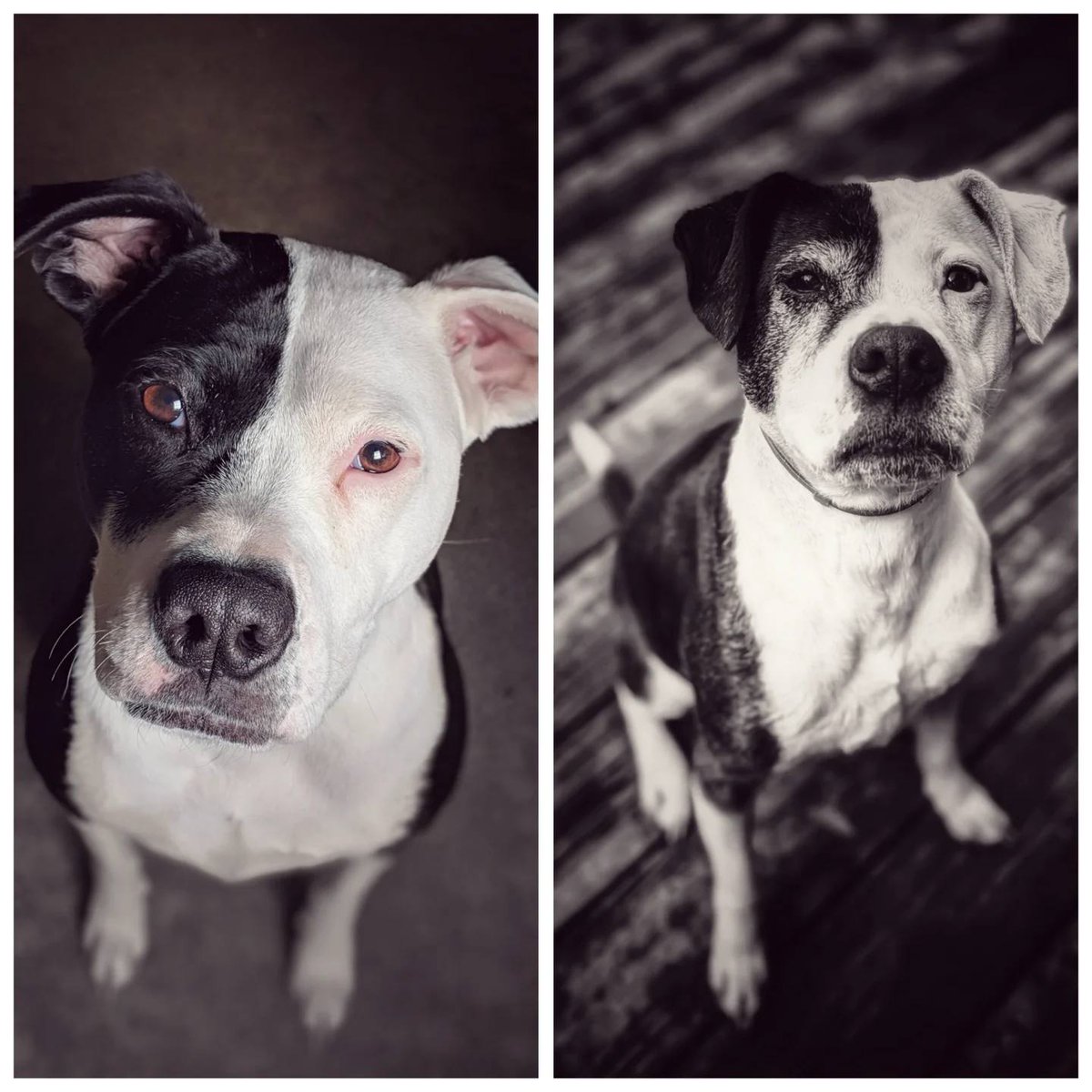 ABIDE | Grace tweet media