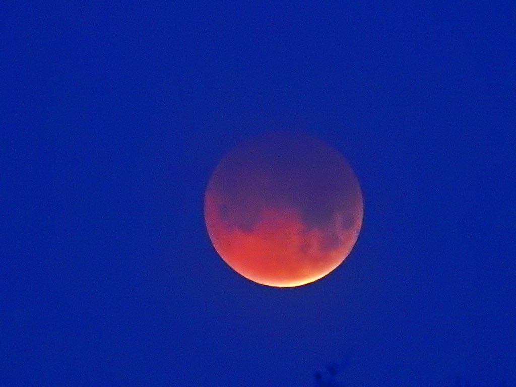 SkinnyAtlasMsic's tweet photo. Blood Moon Lunar Eclipse March 3, 2026.   #lunareclipse2026 #BloodMoon2026 #lunareclipse #bloodmoon #bloodmooneclipse https://t.co/ZnJ70YpBgG