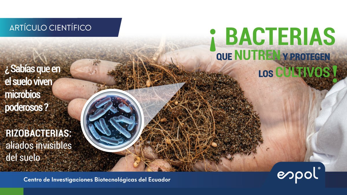 CIBE_ESPOL tweet media