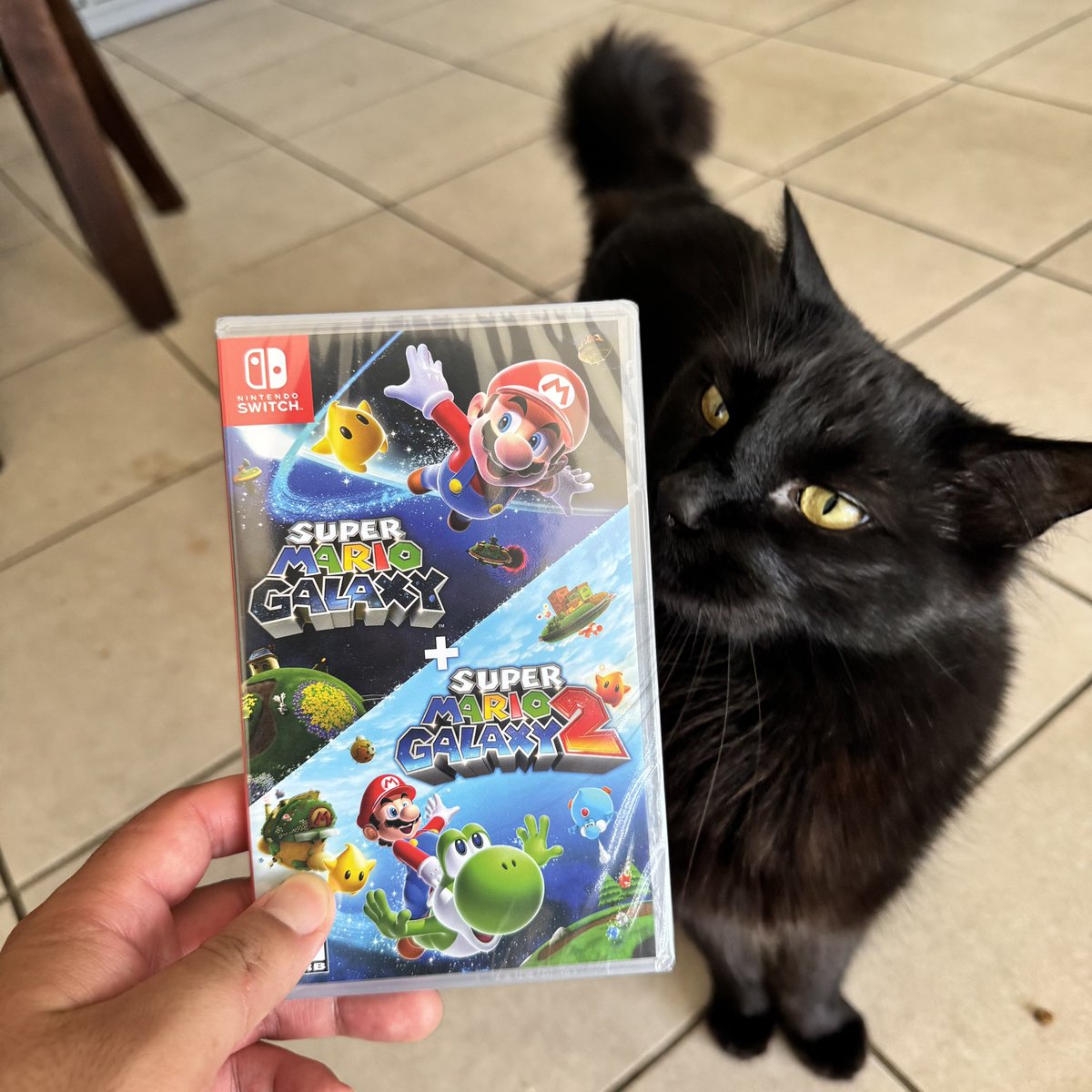 Camilito Reviews tweet media