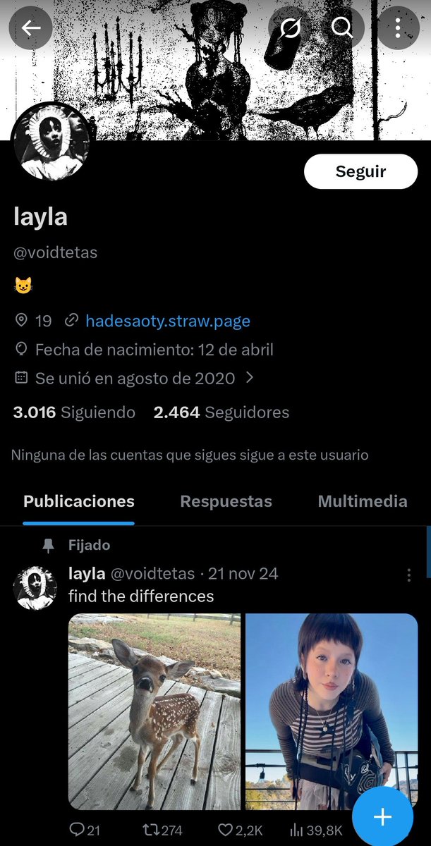 layla tweet media