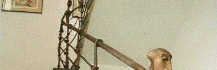 ومضة tweet media