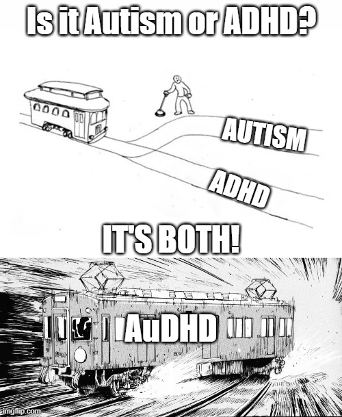 No Nonsense Neurodivergent (@nononsensend) on Twitter photo 