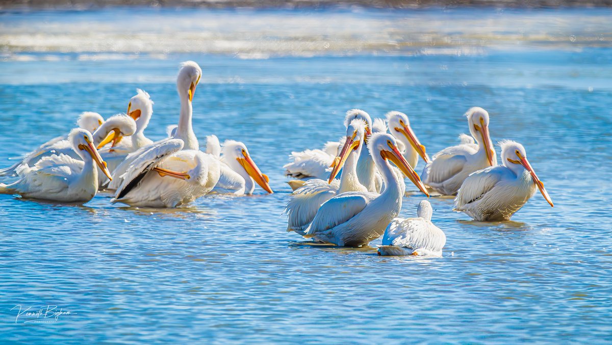 Ohio State Parks & Watercraft tweet media