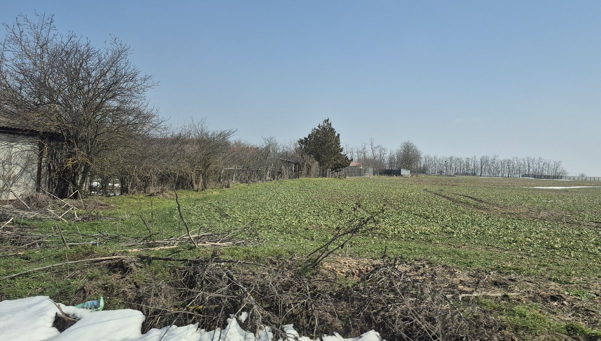 Jorge Lopez Menendez🇦🇷🇸🇱🇧🇴 tweet media