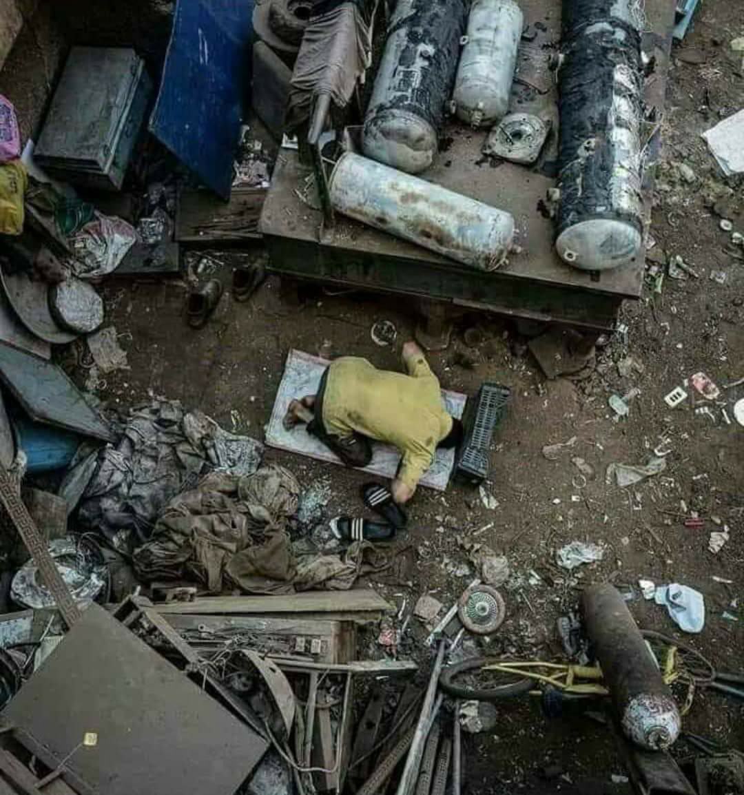 Alaa mansour tweet media