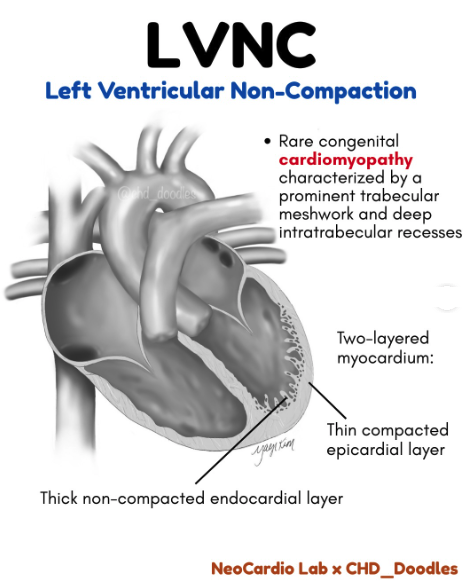 NeoCardioLab - Gabriel Altit tweet media