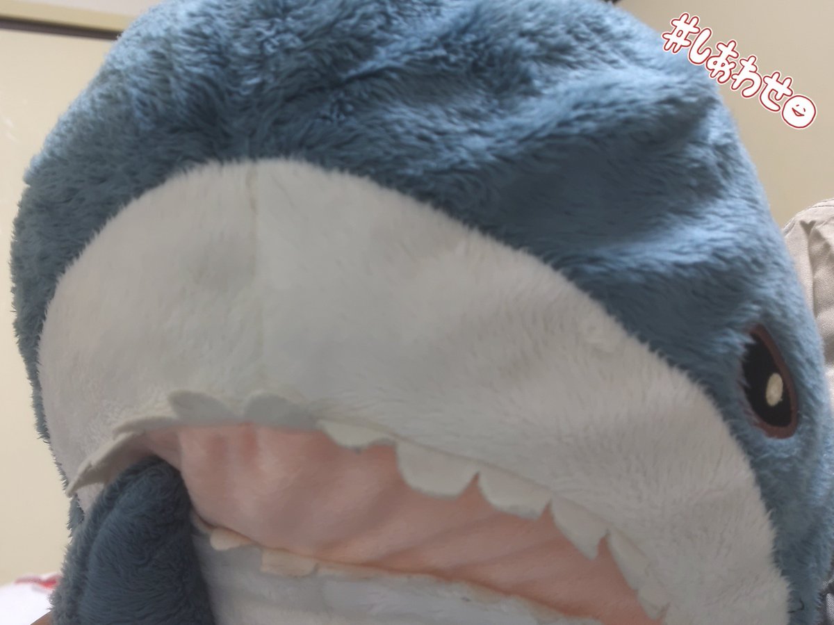 あんこう鍋 は、「けしからん」を語る、すみっこにいるとかげ。※(互換垢) tweet media