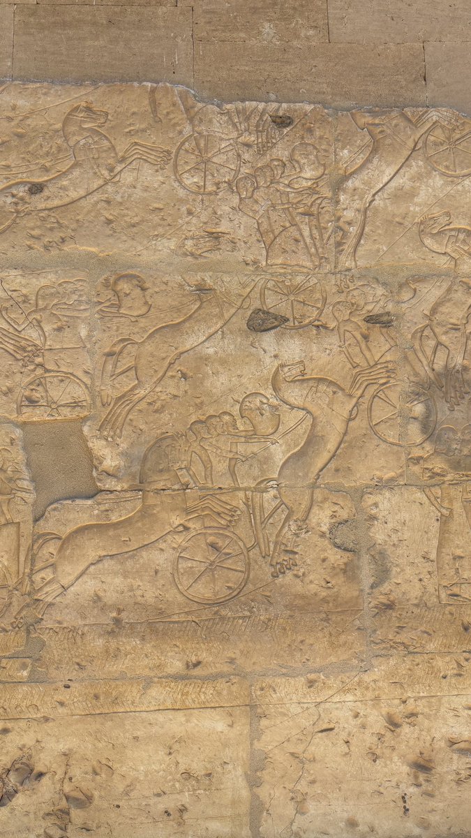 有村元春/ Motoharu Arimura (@011235Moto) / Posts / X