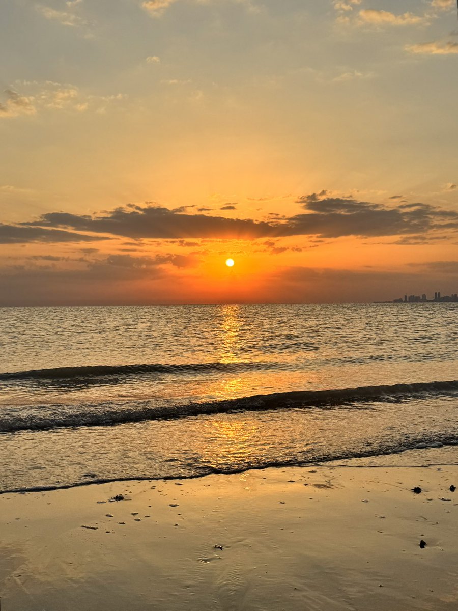 Manal Afaneh tweet media