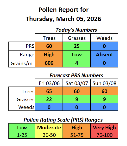 Forsyth County, NC Pollen tweet media