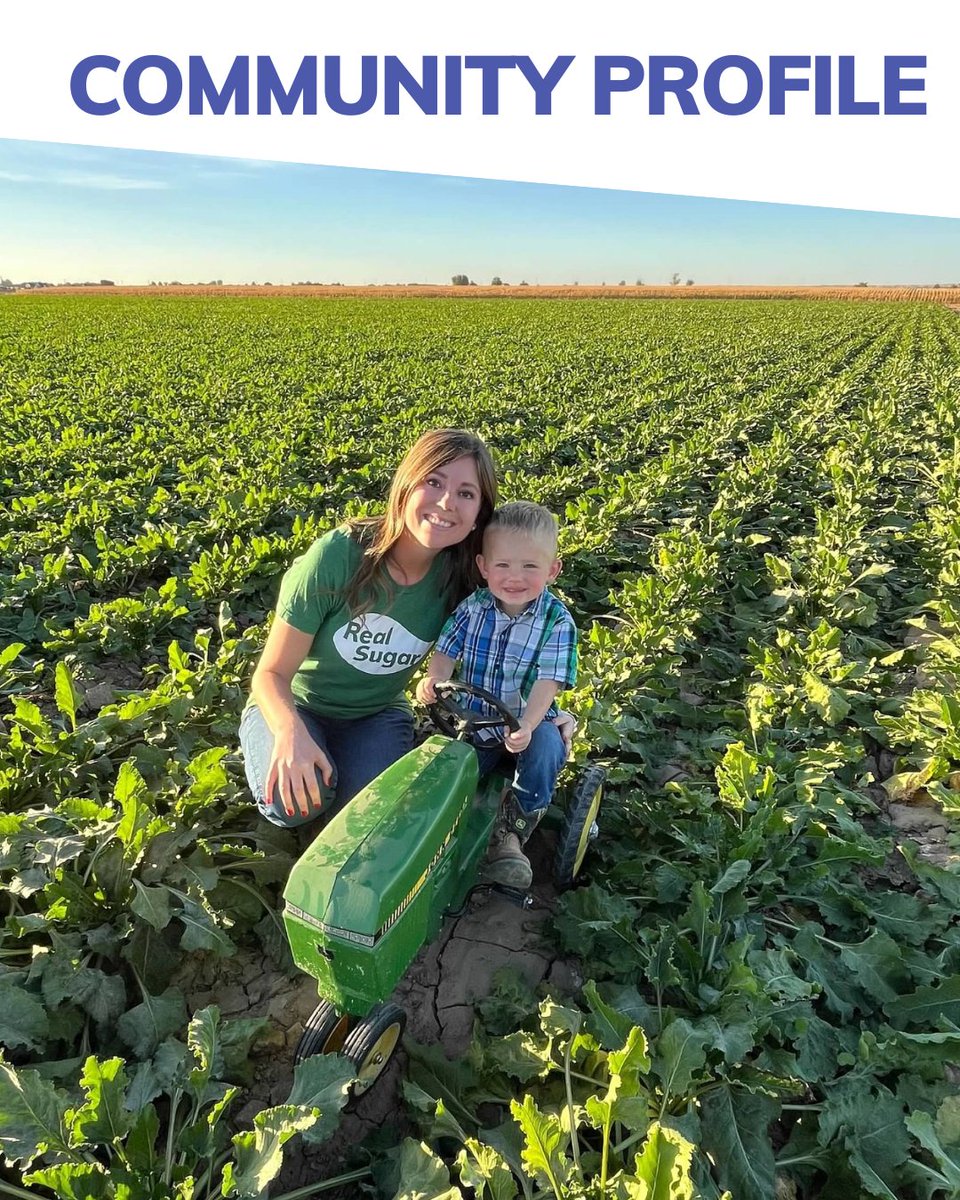 The Sugar Association tweet media