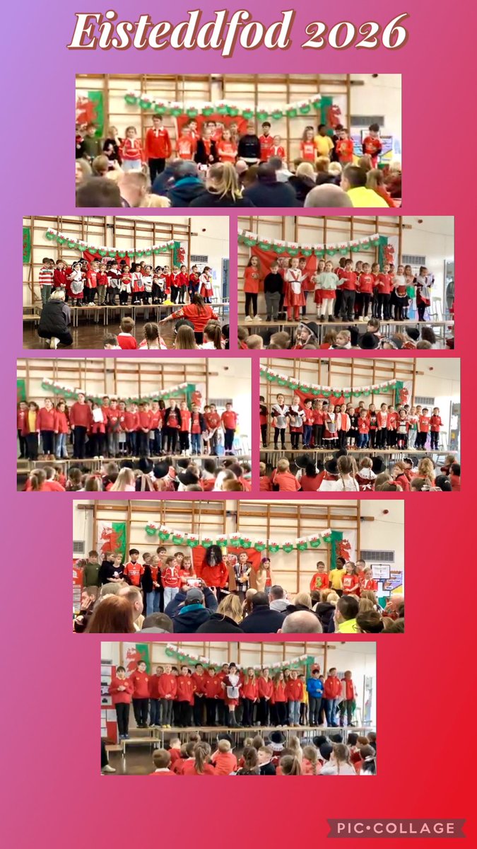 St David's RC Primary tweet media