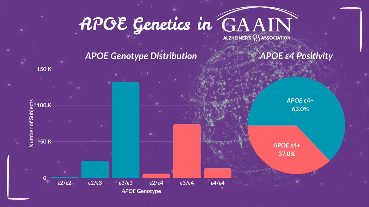 alzGAAIN's tweet image. Of the subjects in GAAIN with #genetic data, here is the breakdown by #APOE genotype and APOE e4 positivity, which is a major risk factor for #Alzheimers disease.

Explore more data in the #GAAINInterrogator:
🧬gaaindata.org