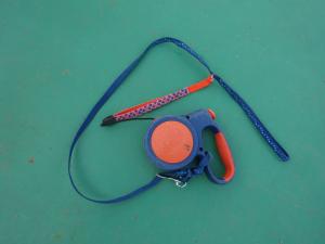 #福島県動物愛護センター本所 
#全６管轄ご高覧可　pref.fukushima.lg.jp/sec/21621a/
【期限　4月5日前後】
保護日(管理番号) 令和8年3月5日(木)(c０８０３０５－１)   
保護場所 　天栄村   
柴／中型   
茶白／短毛   
オス
推定3歳
黒色首輪、伸縮式リード（紐:オレンジ、持ち手:青色）
その他特徴等