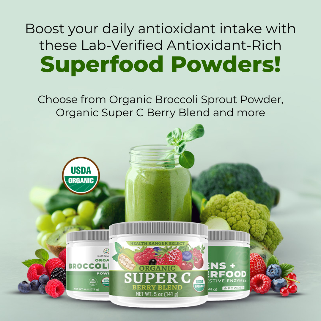 Strengthen your nutrition with clean, antioxidant-rich superfood powders.

🛒Shop now at Bright Shop
bit.ly/46KZdvc

#superfood #antioxidant #superfoodblend #nonGMO #nonChina #wellness #healthyliving #labtested #organic #clean #greens #goodfood