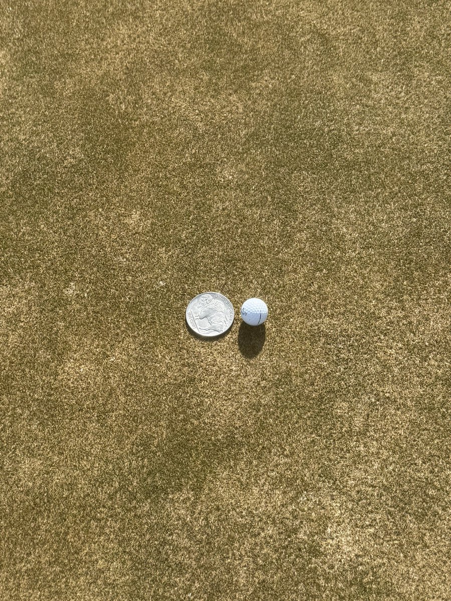 Monday Q Info tweet media