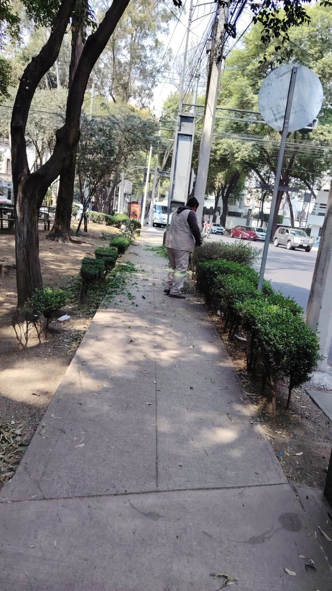 Acciones BJ tweet media