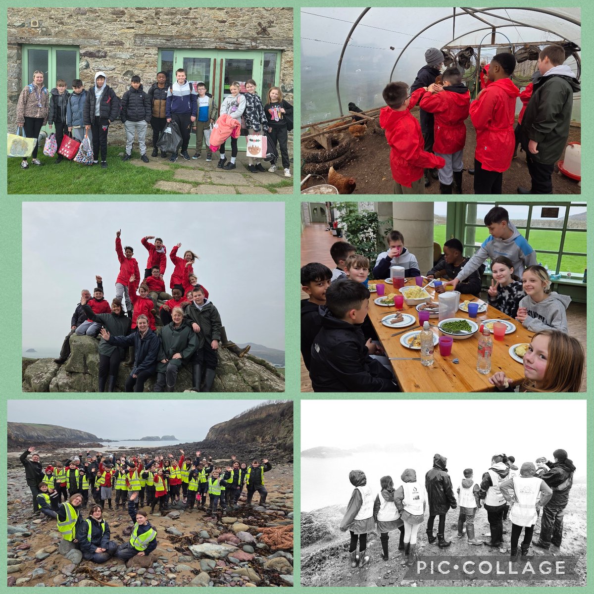 Sandfields Primary School tweet media