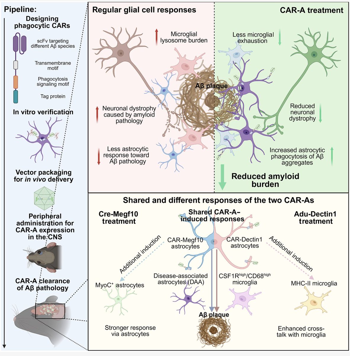 Paul D. Rennert tweet media