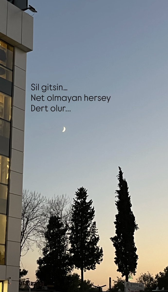 🪽 (@serpillendiniz) on Twitter photo 