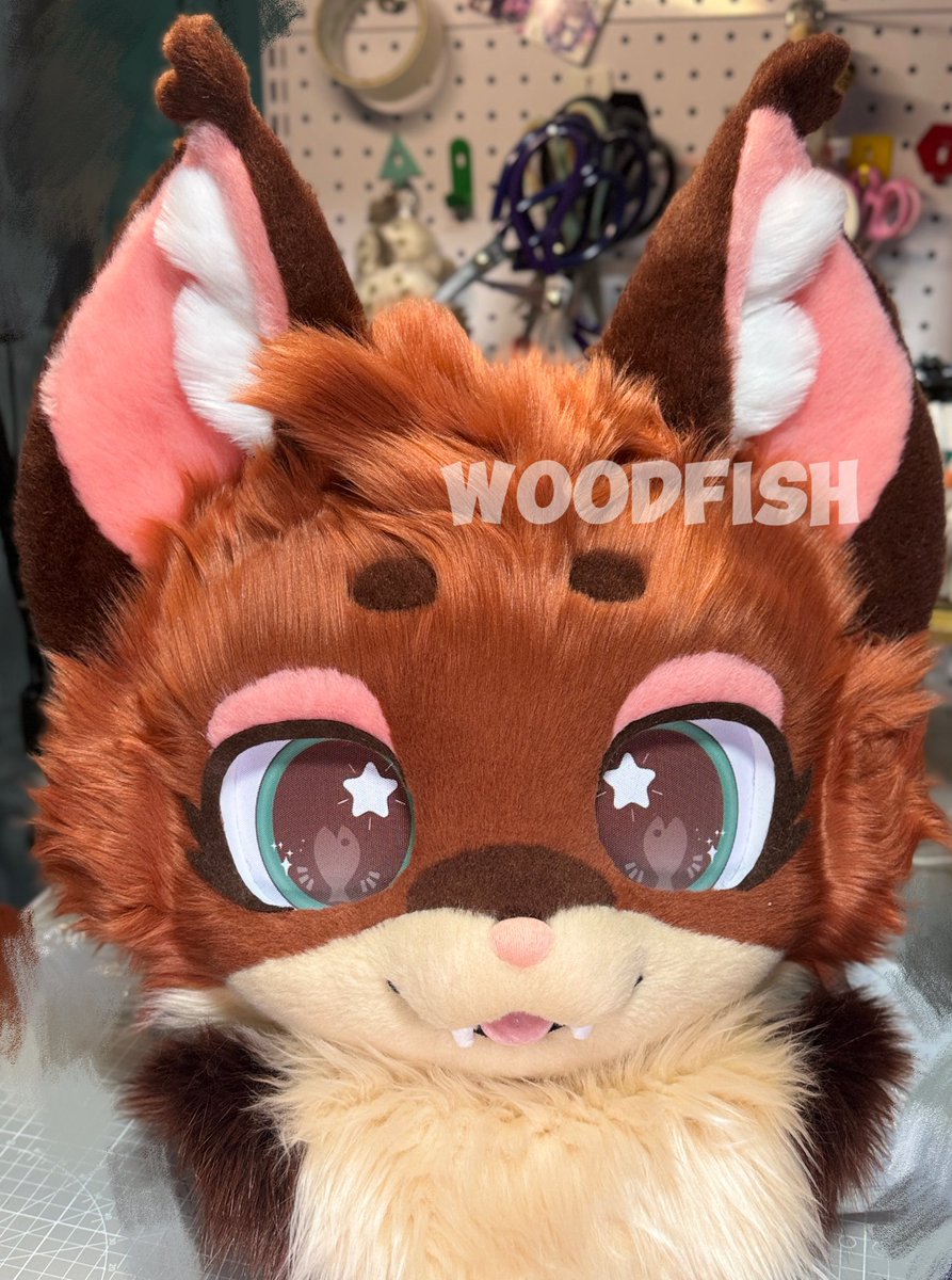 WOODFISH tweet media