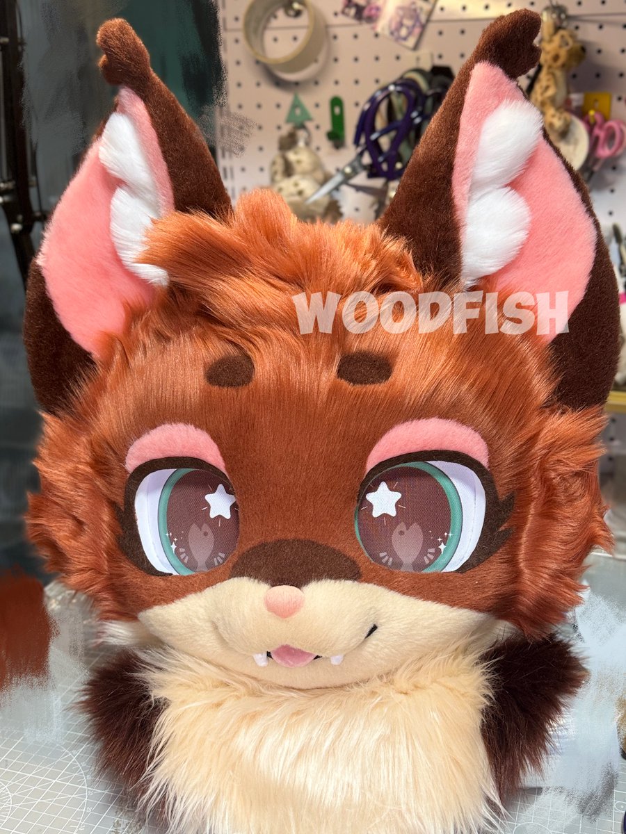 WOODFISH tweet media