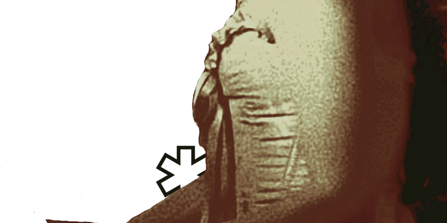 *̲𝓭ove-𝓯eathered 𝓴night . tweet media