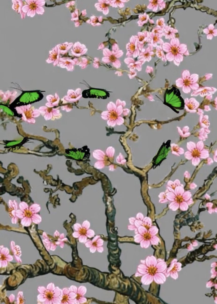 BelleLaudere tweet media