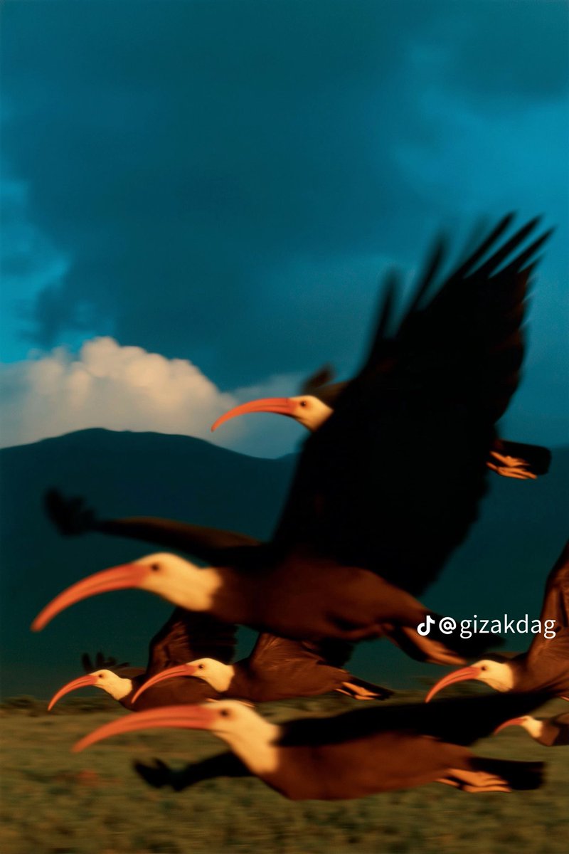 dightlark's tweet photo. متعة بصرية 💜 https://t.co/FSLH5QgmvR