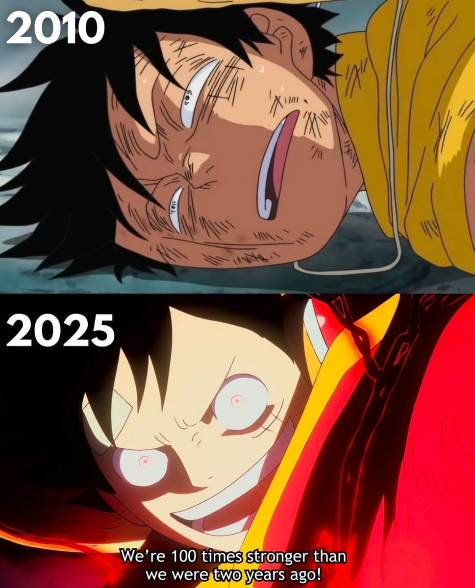 One Piece Daily (@opdaiiy) on Twitter photo 