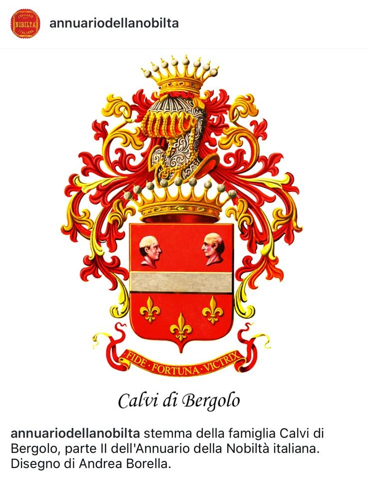 annuarionobilta's tweet photo. #Tavola #genealogica #stemma #stemmi #AnnuarioDellaNobiltàItaliana #araldica #Famiglia #Calvi di #Bergolo https://t.co/DoOj4LFWf6