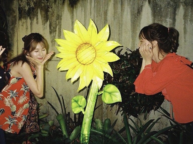 sanayeon files tweet media